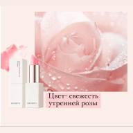 Dr.PEPTI Volume Essential Lip Plumper (Rose Color) - Dr.PEPTI Volume Essential Lip Plumper (Rose Color)