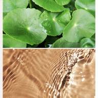 V. Edition Phyto Green Pure Centella Asiatica Extract (300ml) - V. Edition Phyto Green Pure Centella Asiatica Extract (300ml)