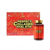 Perfect Collagen Hyal Vita (120 capsules)